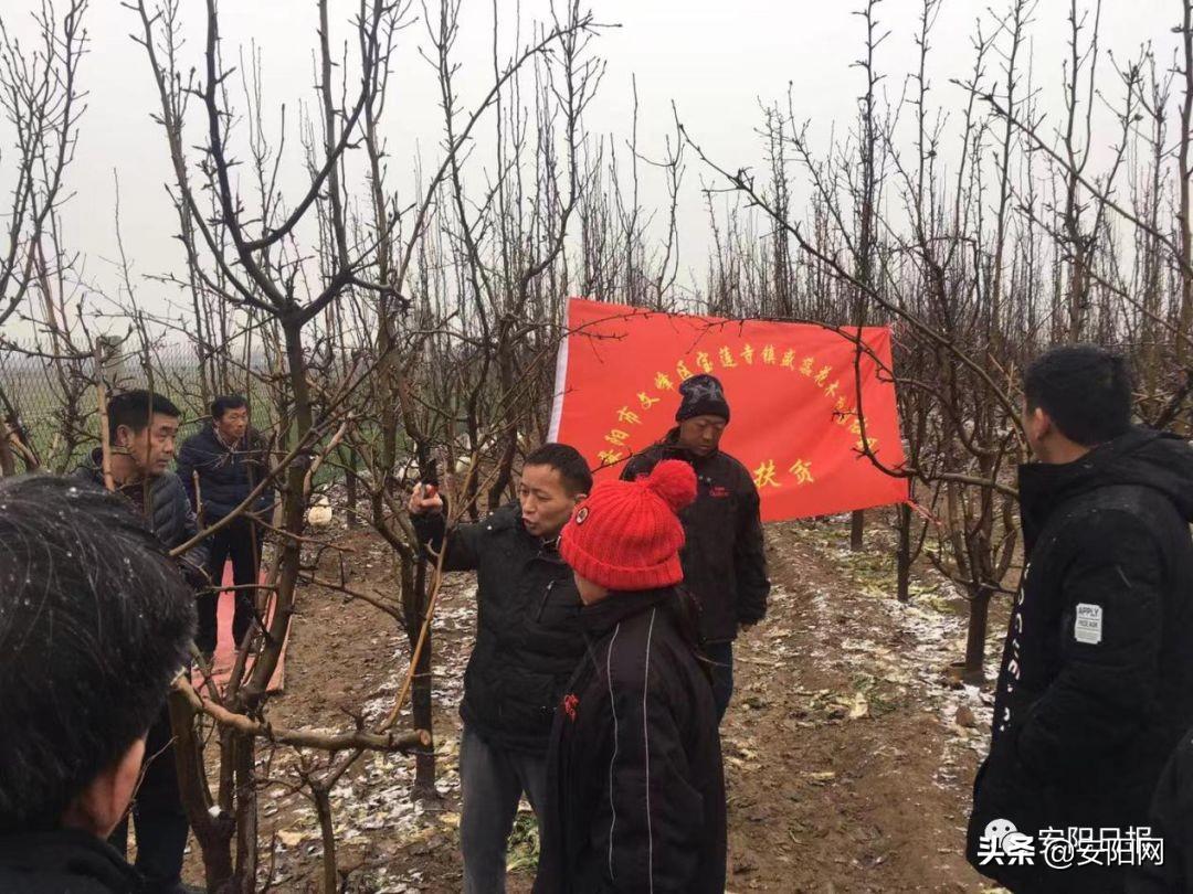 文峰区文旅体领导团队引领区域产业迈向新高度