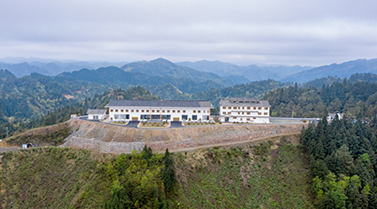 雷山县水利局新项目启动，推动地方水资源可持续利用的重要举措