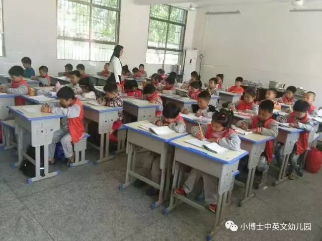 罗源县小学最新招聘公告概览