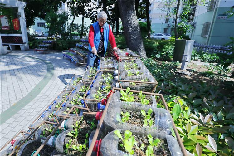 仙霞镇未来繁荣蓝图，最新发展规划揭秘