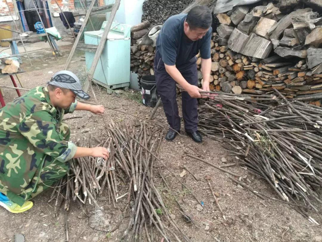 伊春市建设局最新项目全景概览