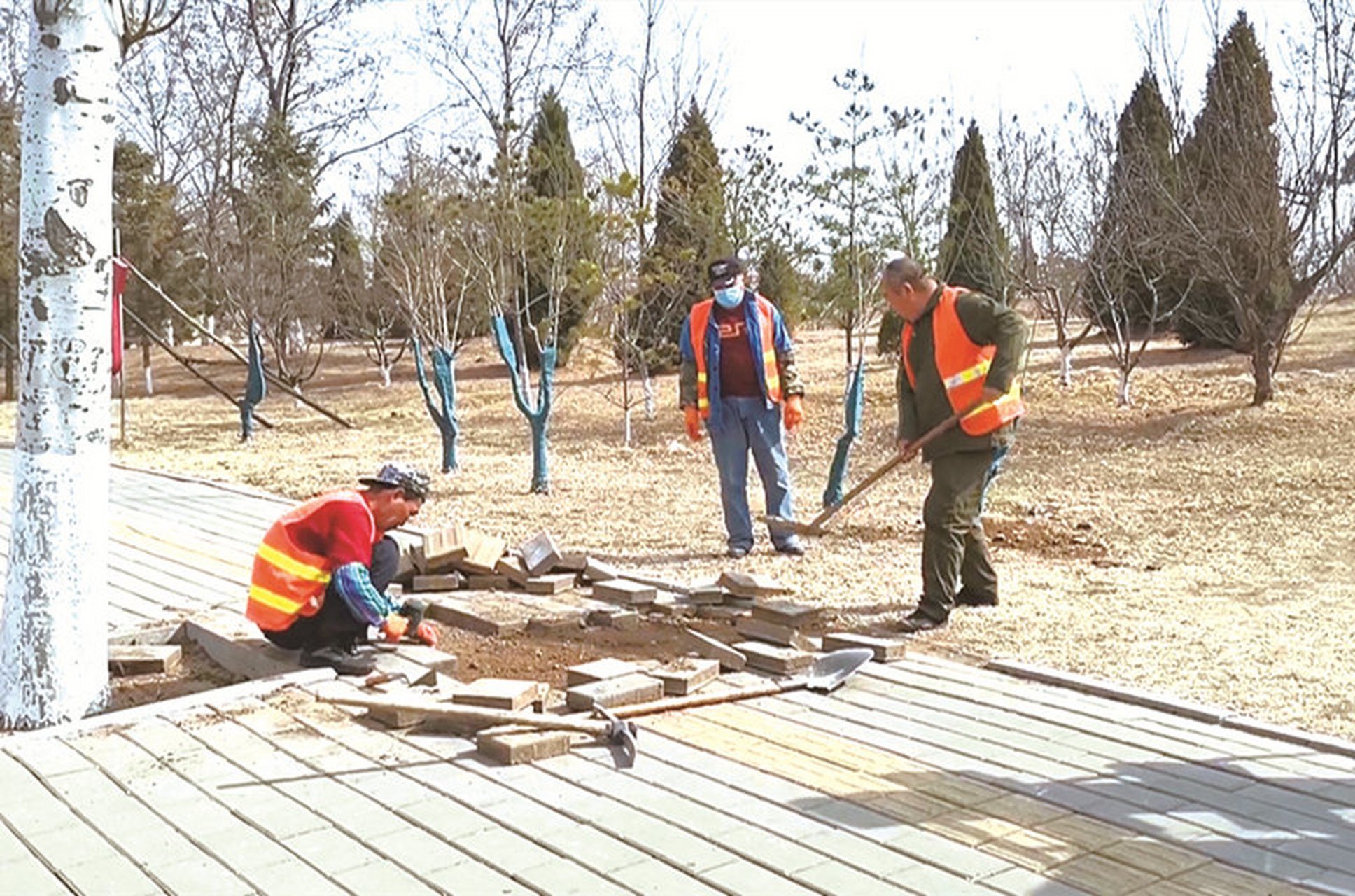 兴城市级公路维护监理事业单位最新动态