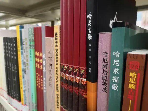 红河哈尼族彝族自治州图书馆领导团队的创新与发展之路