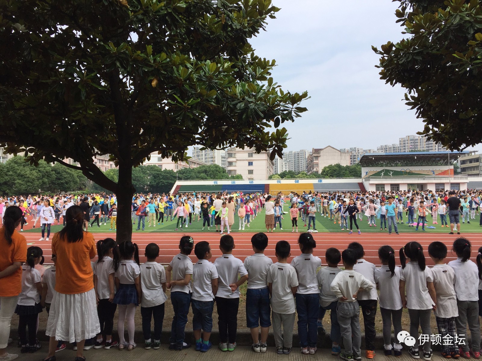 金坛市小学领导团队全新亮相