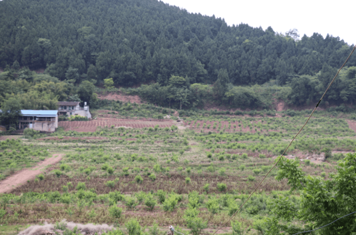 宗须村新项目启动，乡村振兴新篇章开启