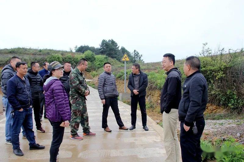 二夫村委会新项目启动，乡村振兴与社区发展新篇章开启