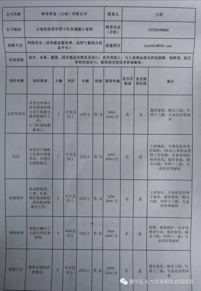 城子河区科技局最新招聘信息详解及解读