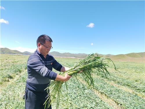 拉玛村新面貌，发展与变迁的最新报道