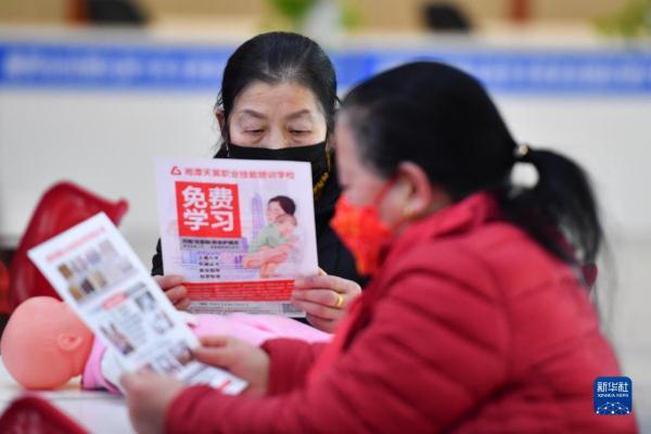 雨湖区人社局最新项目概览