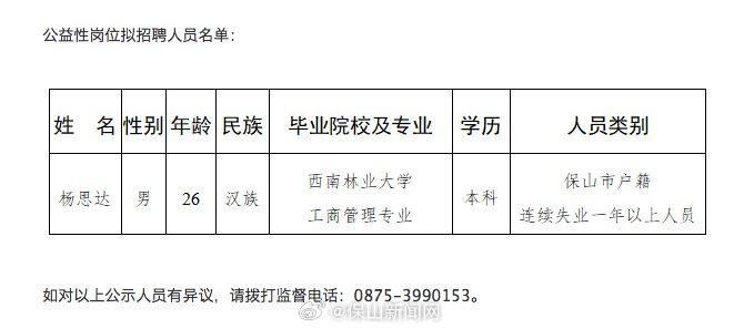 保山市共青团市委招聘启事，最新职位与要求全解析