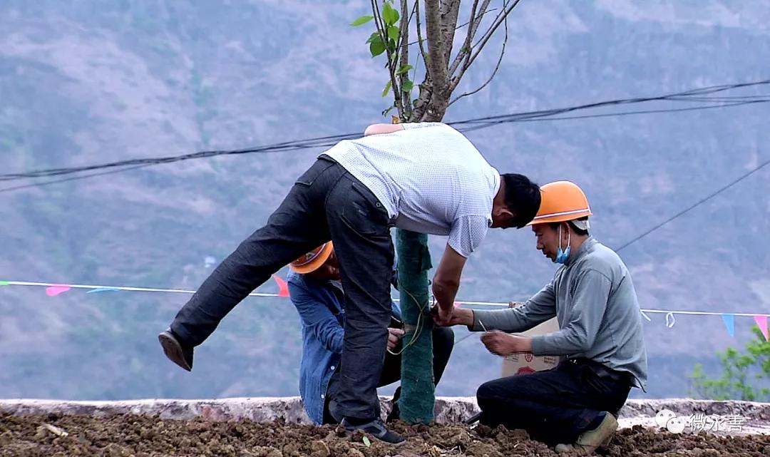 滨江区级公路维护监理事业单位动态更新