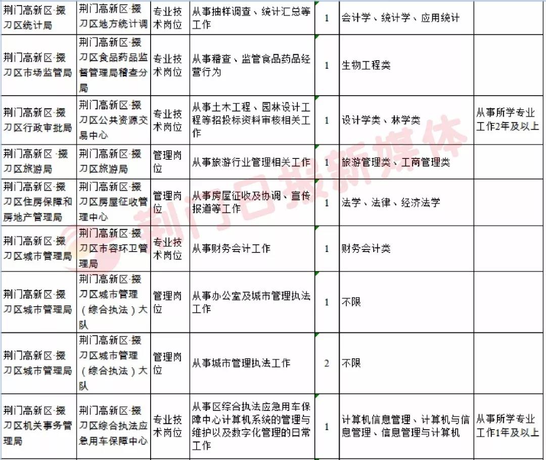 钟祥市数据和政务服务局招聘公告详解