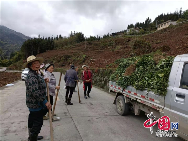 双石镇未来繁荣蓝图，最新发展规划揭秘