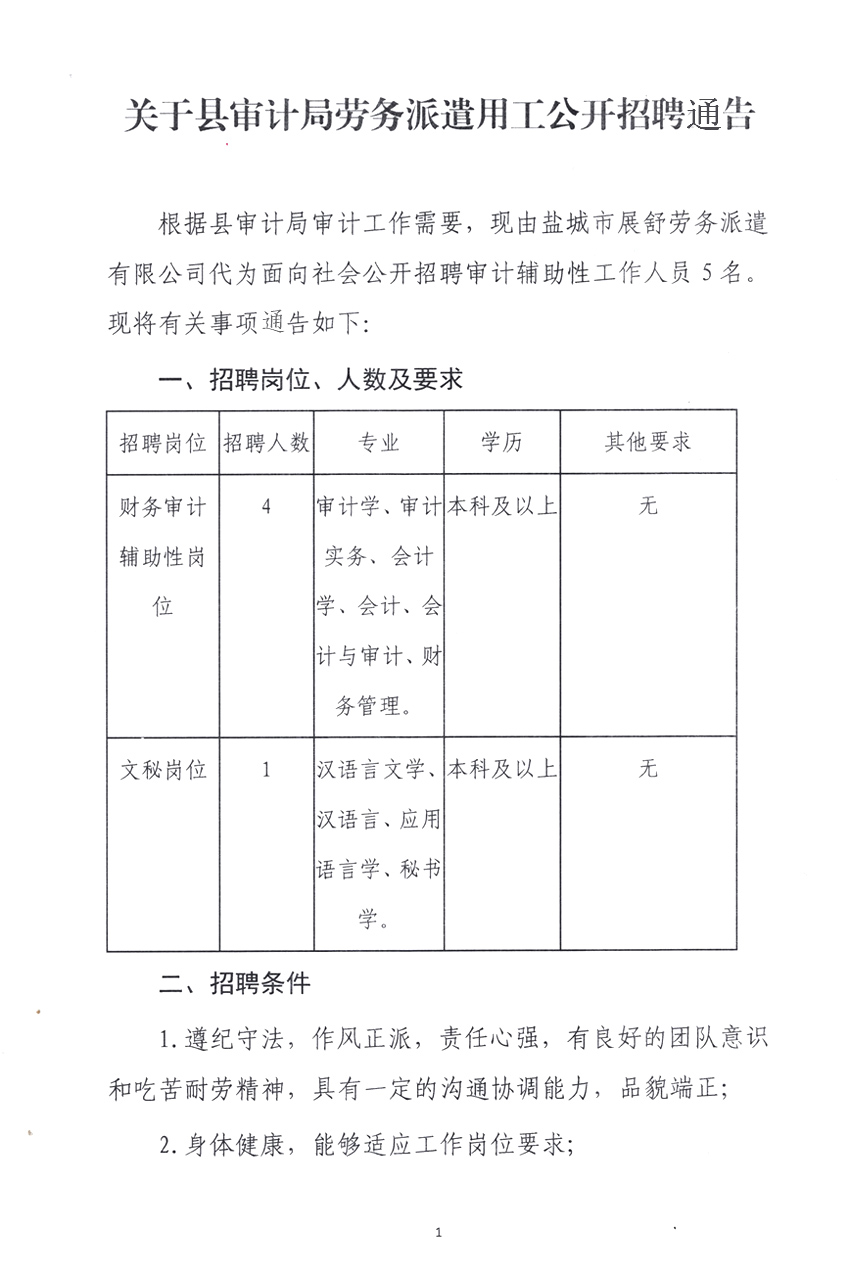 龙马潭区审计局最新招聘公告详解